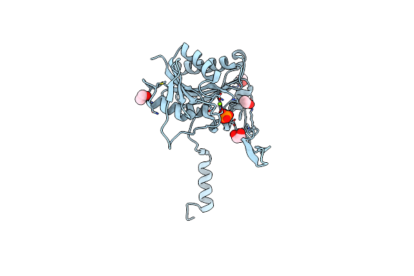 4XEP image