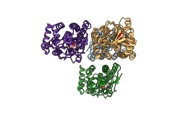 4XEQ image
