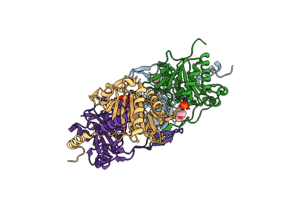 4XER image