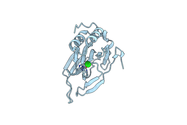 4XET image