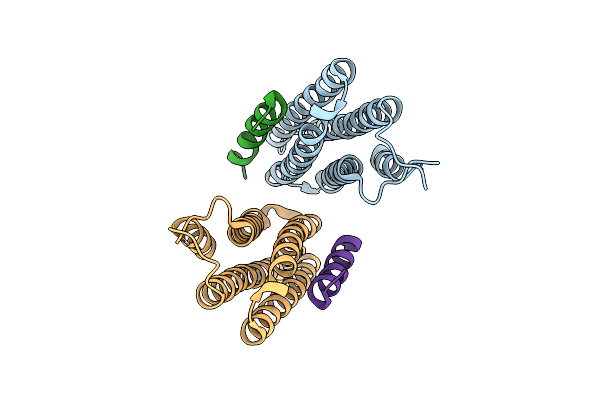 4XEV image