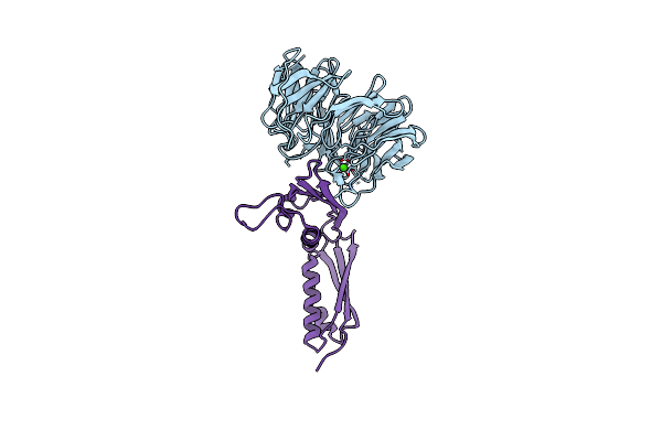 4XGA image