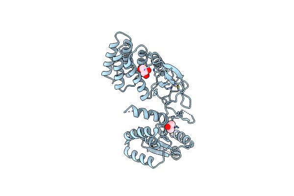 4XGM image