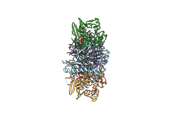 4XGV image