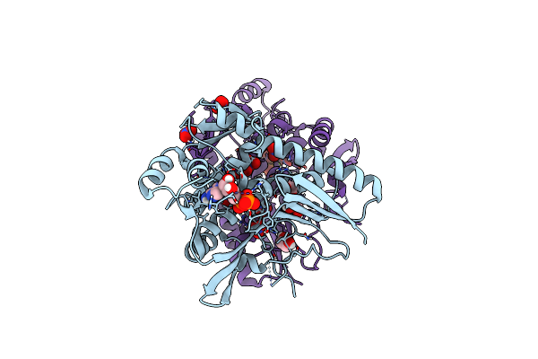 4XGX image