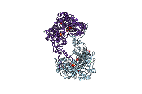 4XHA image