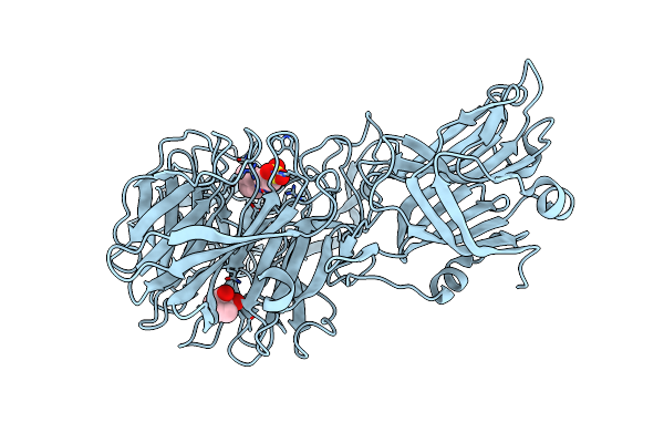 4XHB image