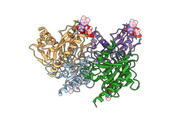4XHF image