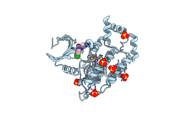 4XHL image