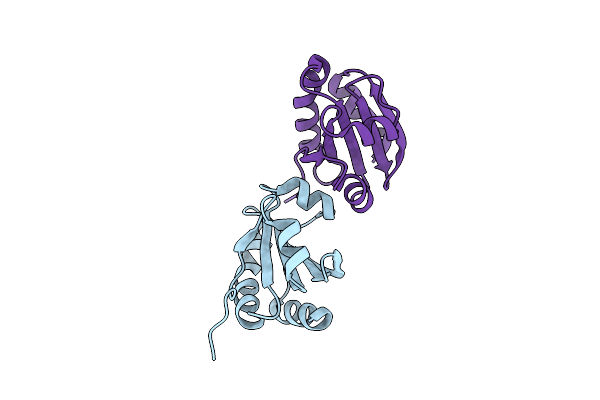 4XHM image