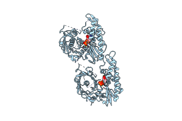 4XHP image