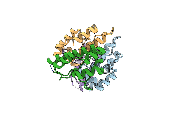 4XHT image