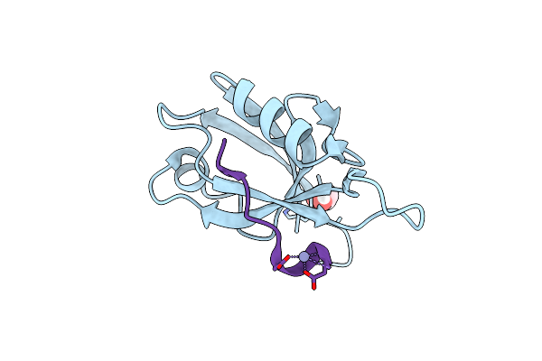 4XHV image