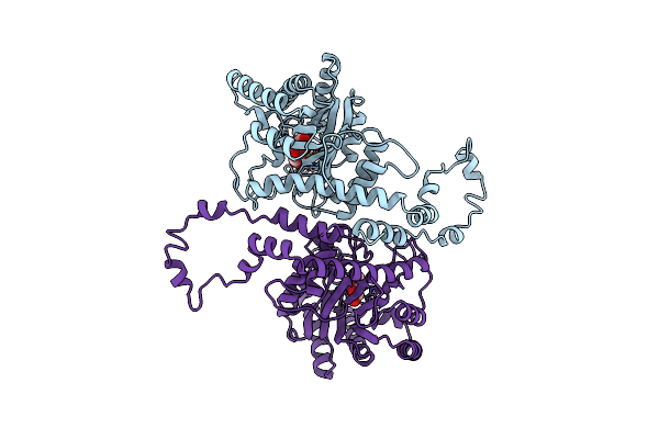 4XIA image