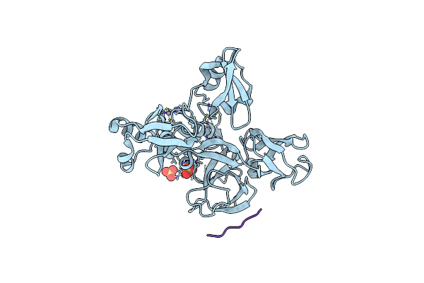 4XIB image