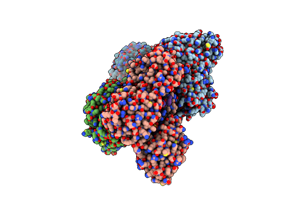 4XIF image