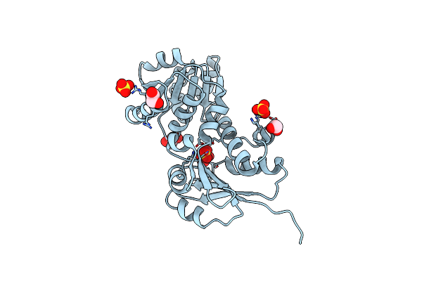 4XIJ image