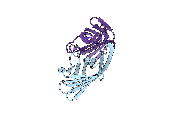4XIN image