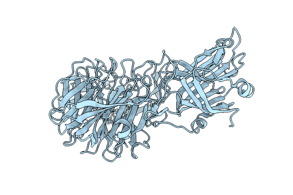 4XIO image