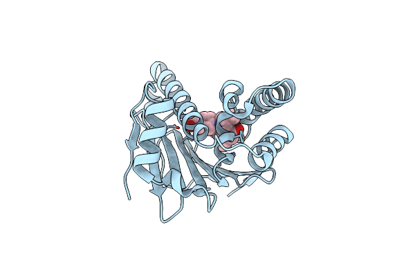 4XIP image