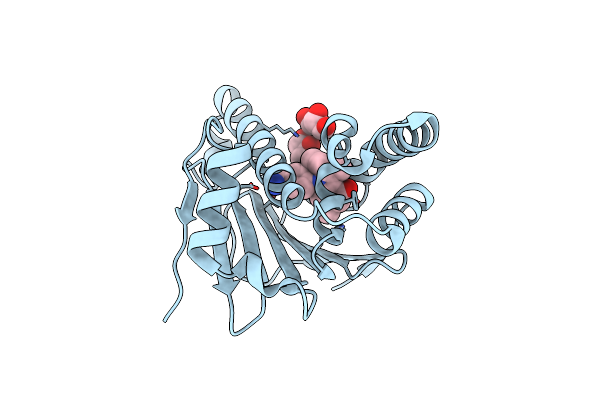4XIQ image