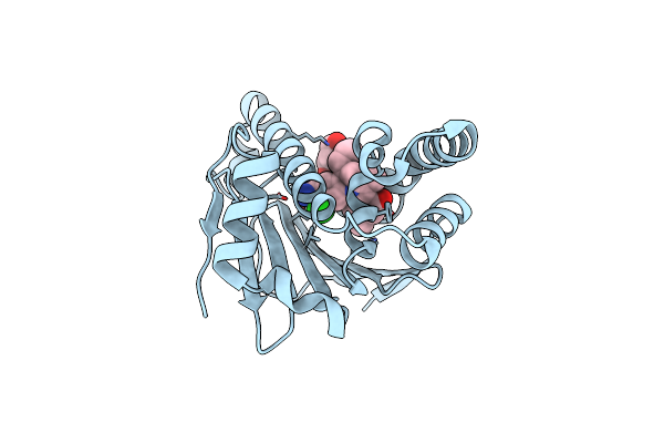 4XIR image