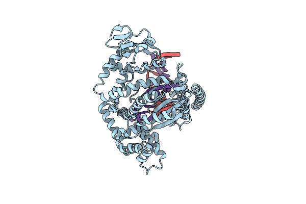 4XIU image