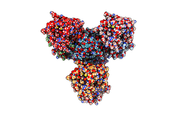 4XIX image