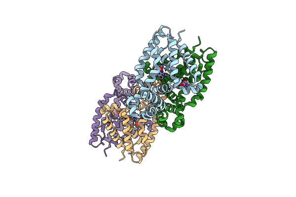 4XK4 image
