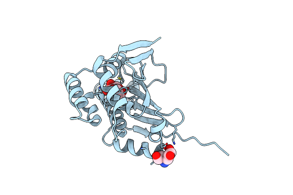 4XKA image