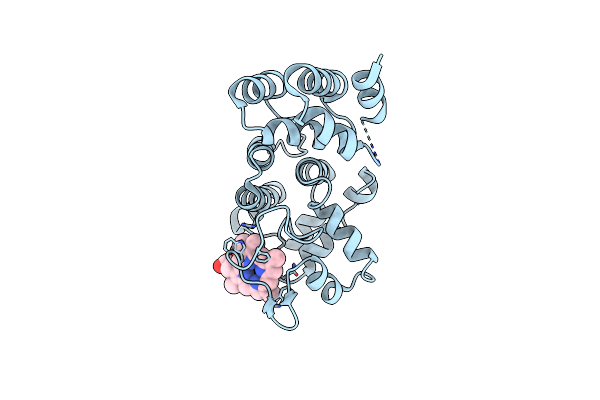 4XKB image
