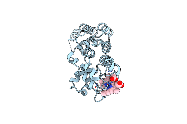 4XKC image