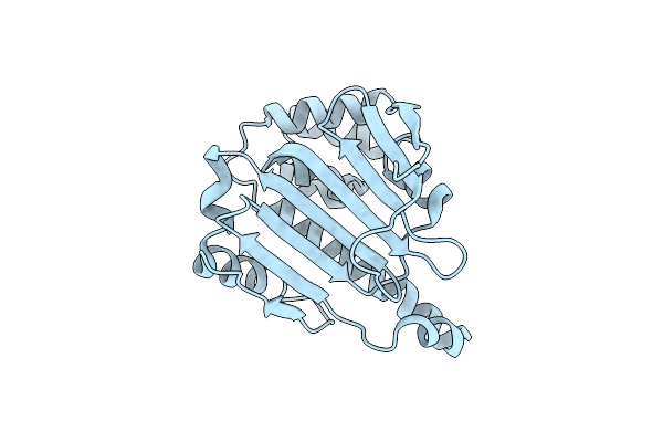 4XKK image