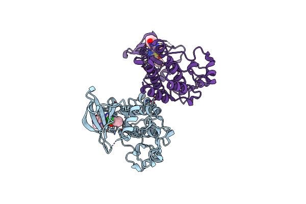 4XLI image