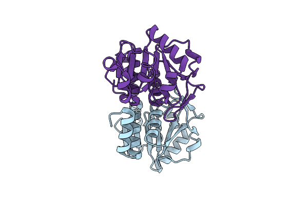 4XLL image