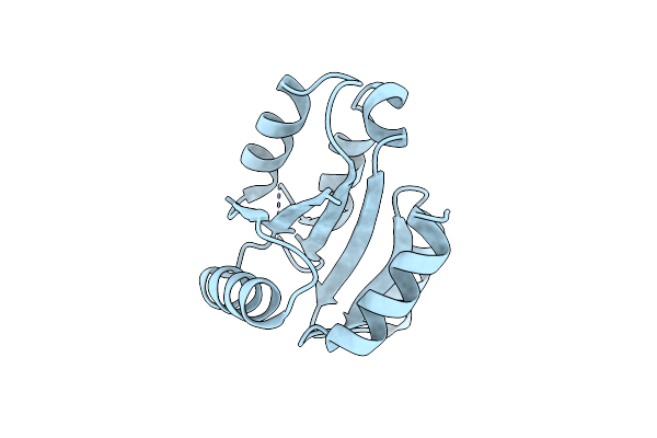 4XLT image