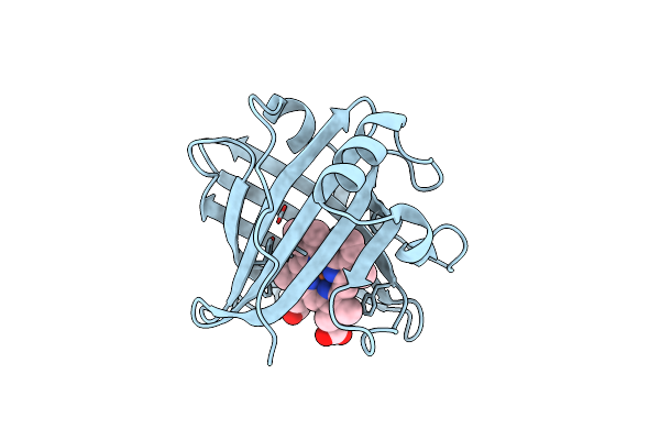 4XMC image