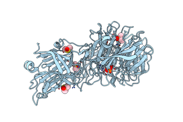 4XMI image