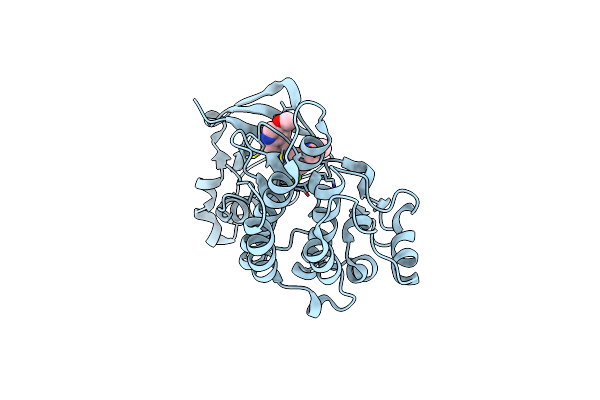 4XMO image
