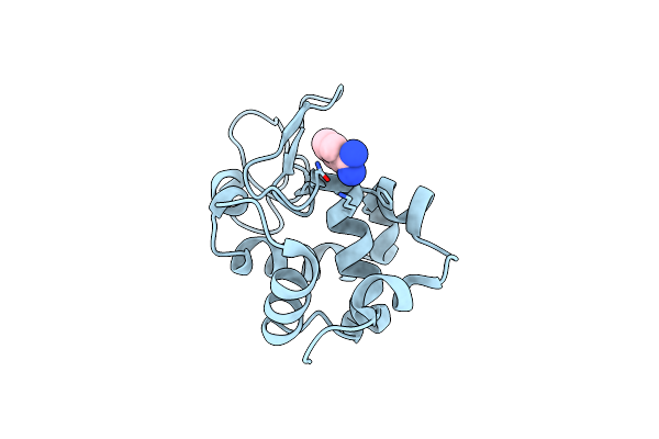 4XN6 image
