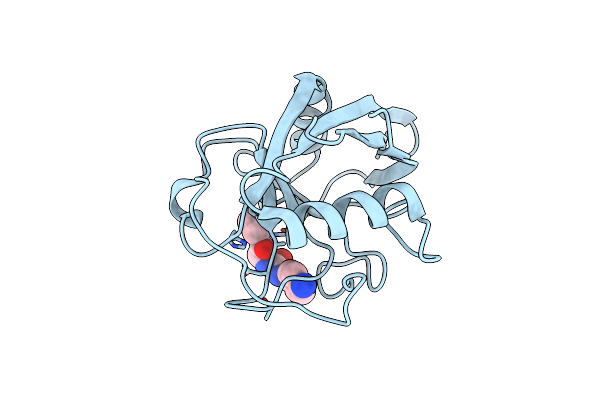 4XNC image