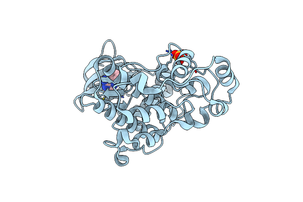 4XNE image