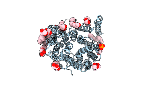 4XNI image