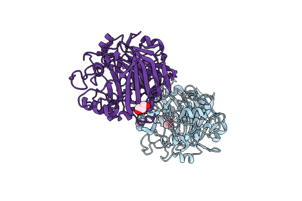 4XNN image
