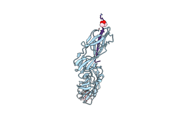 4XOE image