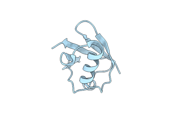 4XOF image