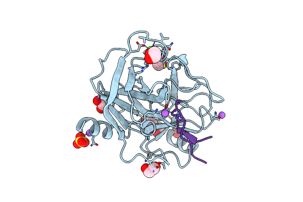 4XOJ image