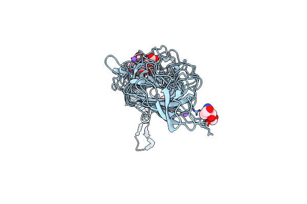 4XOP image
