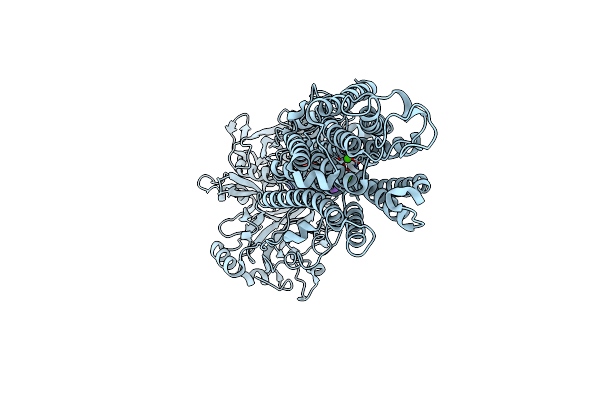 4XOU image