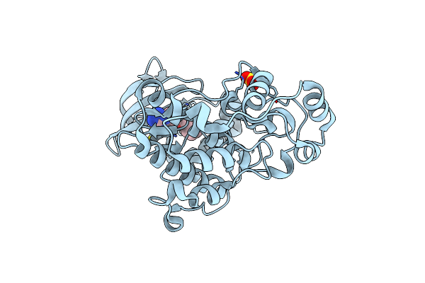 4XOZ image